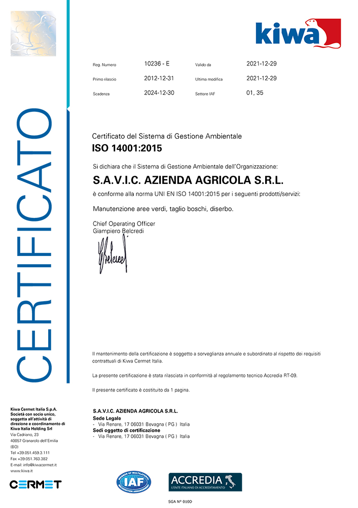 Cert 14001 SAVIC 2021